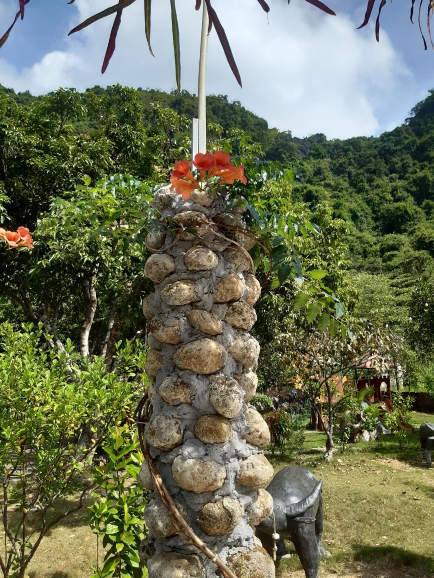 Central Hills Cat Ba Xuan Dam المظهر الخارجي الصورة